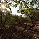Villa Mulino Dei Camini Monteciccardo