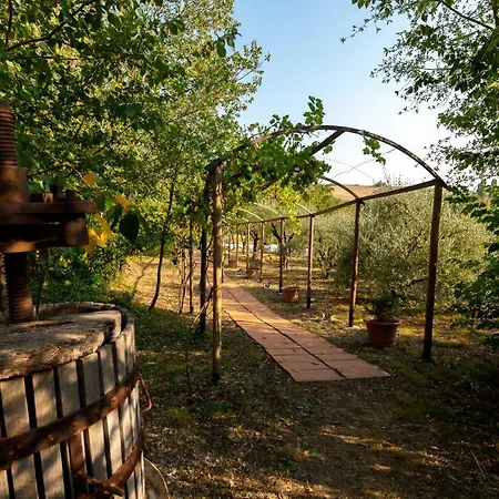 Mulino Dei Camini Villa Monteciccardo