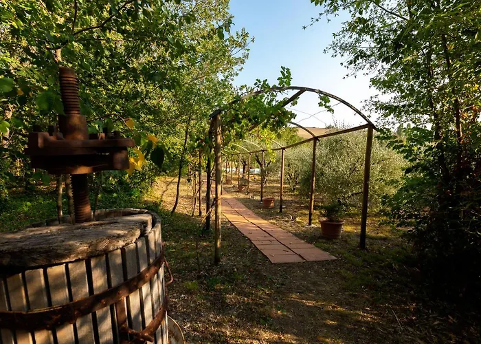 Mulino Dei Camini 别墅 Monteciccardo
